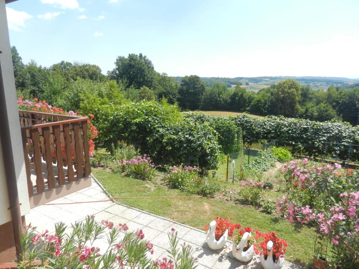Urlaub Fuer Die Seele - Erholung Pur In Der Natur - Ferienhaus Mit Infrarotkabine & Relax-Raum Rucmanci Екстер'єр фото